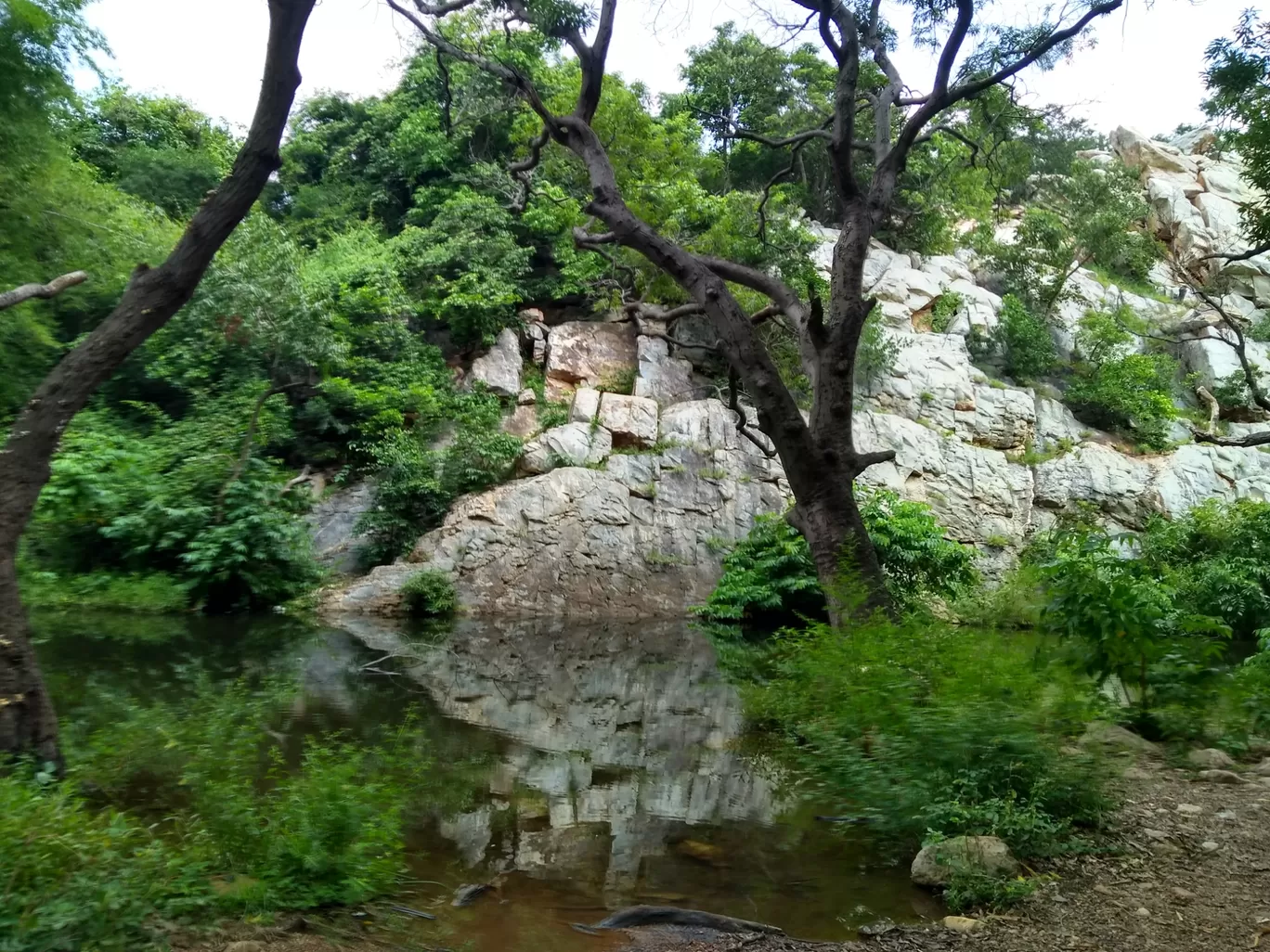 Photo of Tada Waterfalls By Amit Sheoran