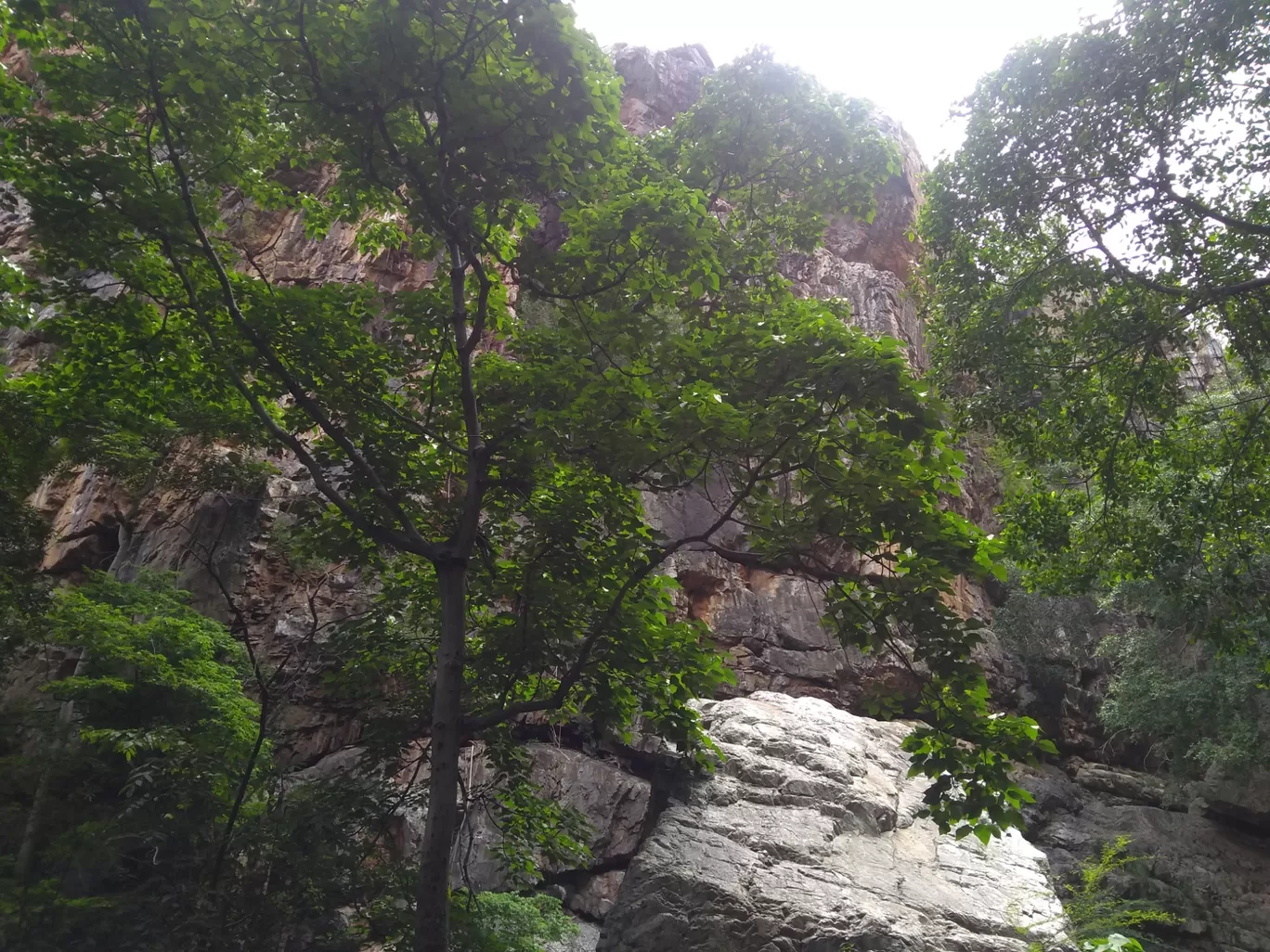 Photo of Tada Waterfalls By Amit Sheoran