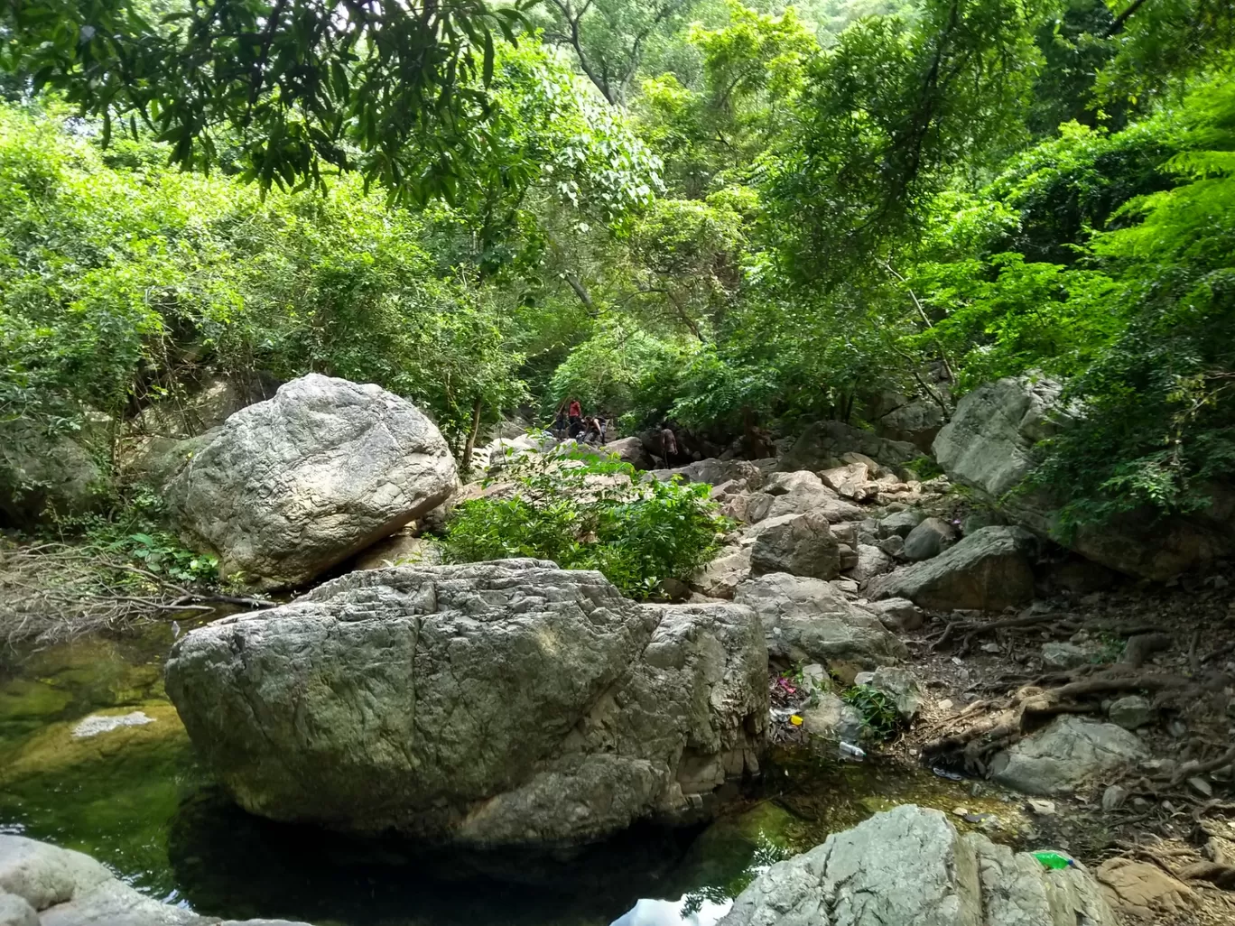 Photo of Tada Waterfalls By Amit Sheoran