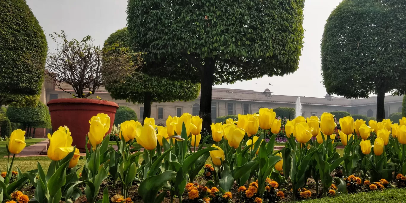 Photo of Rashtrapati Bhavan By Shubham Jalwa