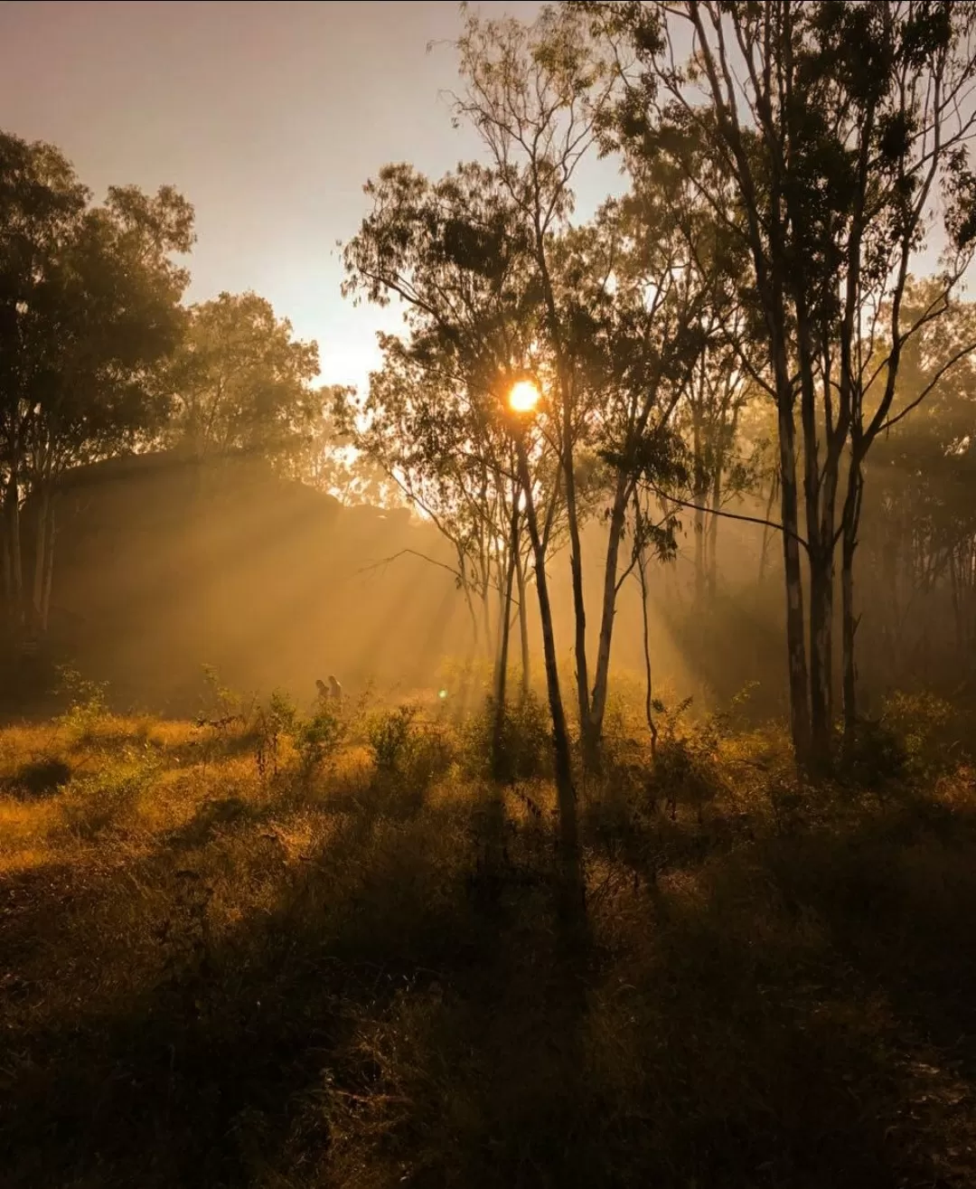 Photo of Turahalli Forest By deepak agarwal