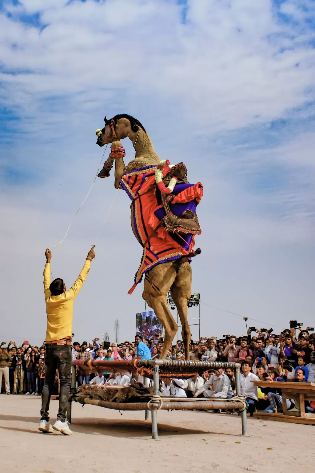 Photo of Bikaner By Varun Godara