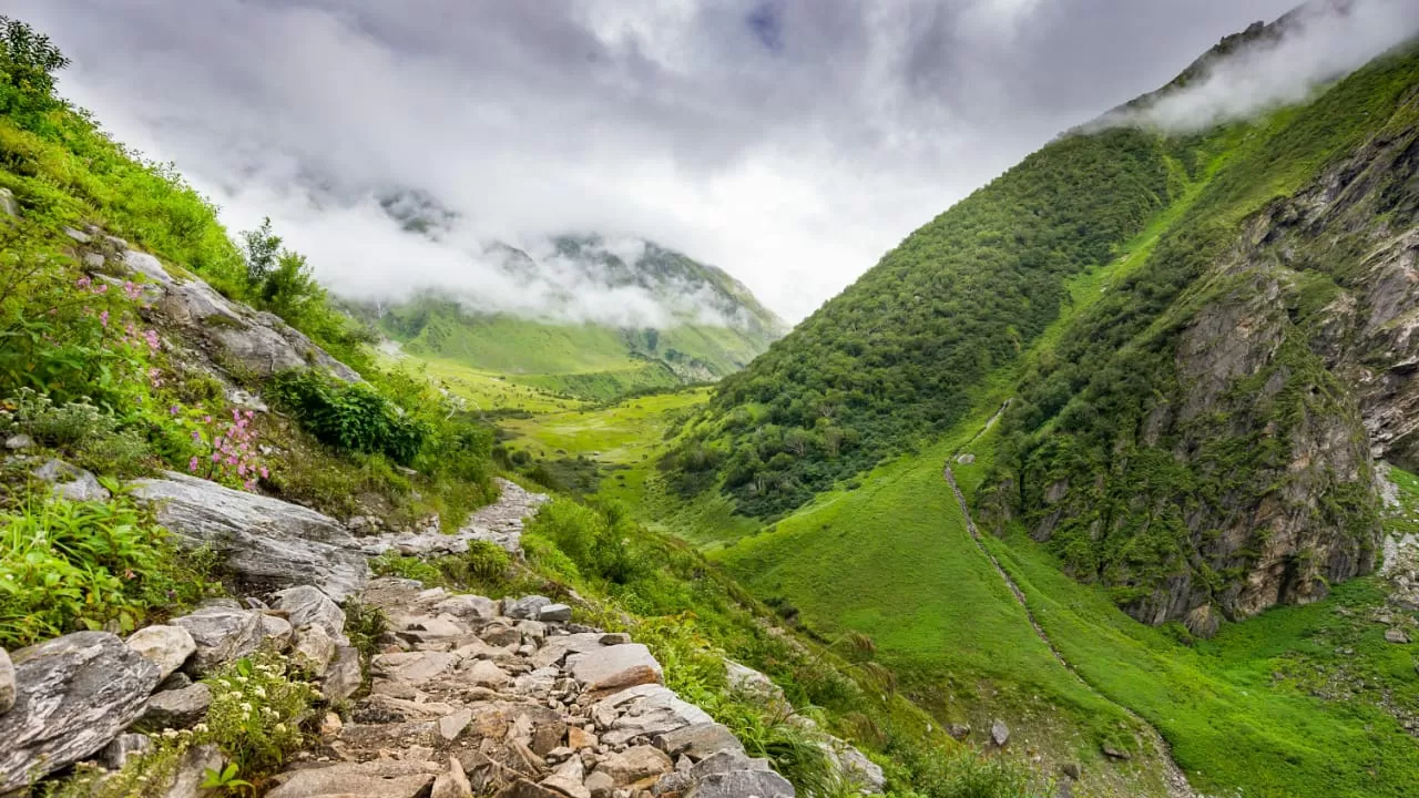 Photo of Valley of Flowers National Park By PRADEEP PATIL