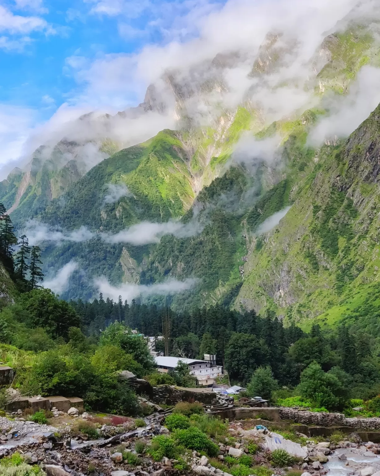 Photo of Valley of Flowers National Park By PRADEEP PATIL