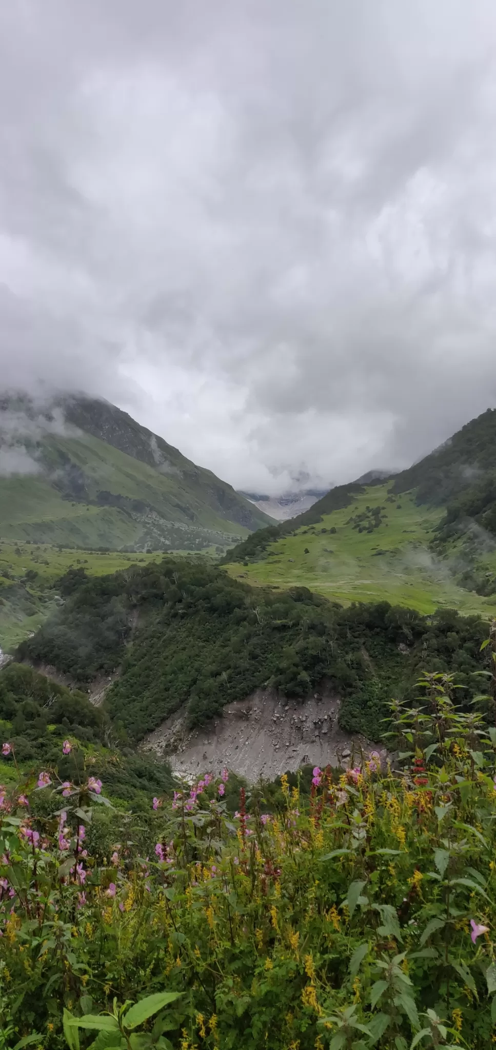 Photo of Valley of Flowers National Park By PRADEEP PATIL