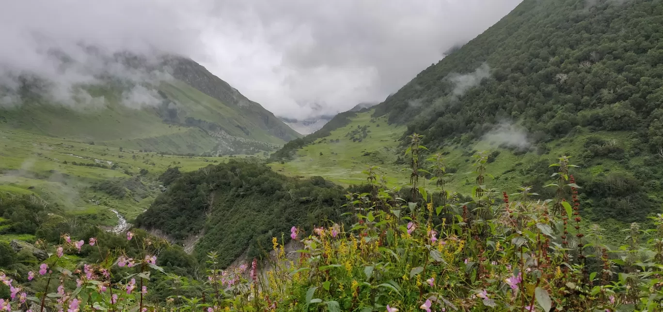 Photo of Valley of Flowers National Park By PRADEEP PATIL