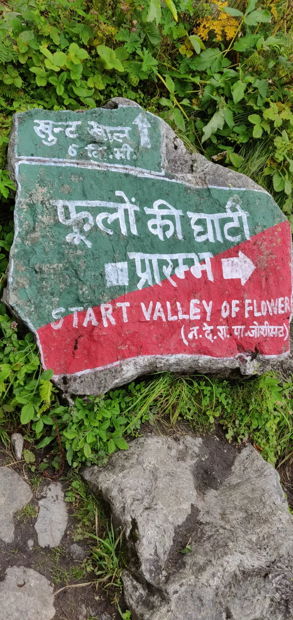 Photo of Valley of Flowers National Park By PRADEEP PATIL