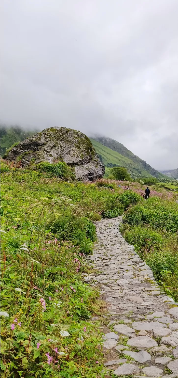 Photo of Valley of Flowers National Park By PRADEEP PATIL