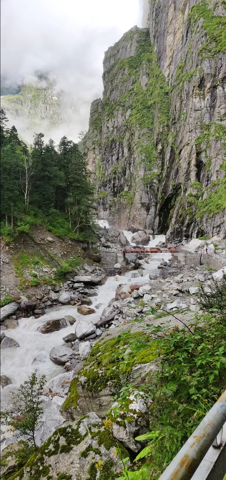 Photo of Valley of Flowers National Park By PRADEEP PATIL