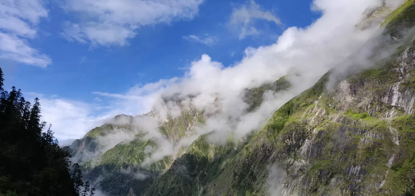 Photo of Valley of Flowers National Park By PRADEEP PATIL