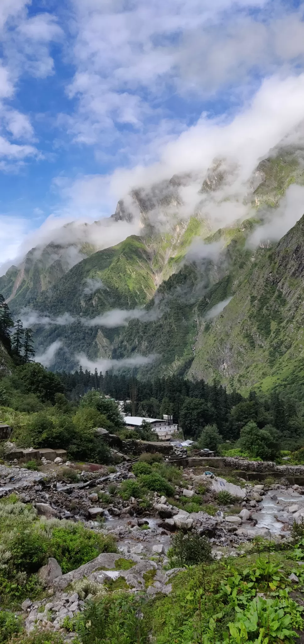Photo of Valley of Flowers National Park By PRADEEP PATIL