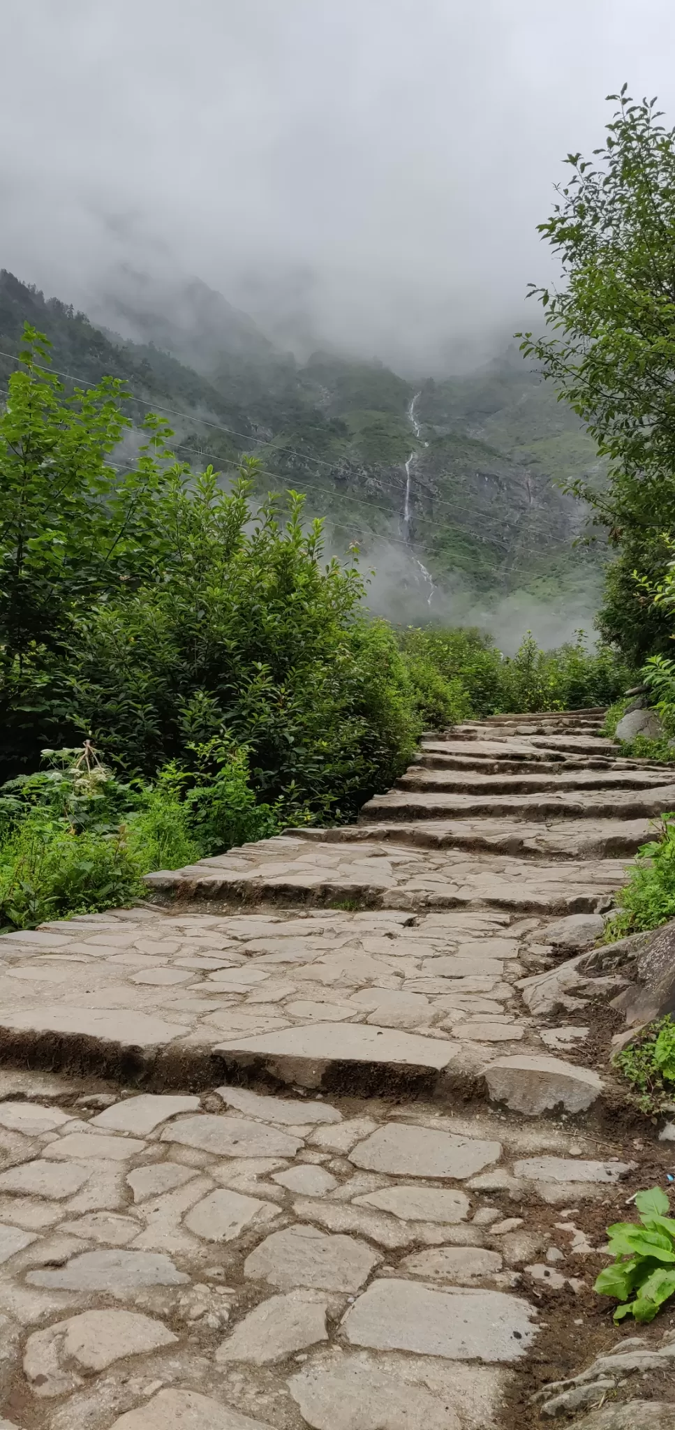 Photo of Valley of Flowers National Park By PRADEEP PATIL