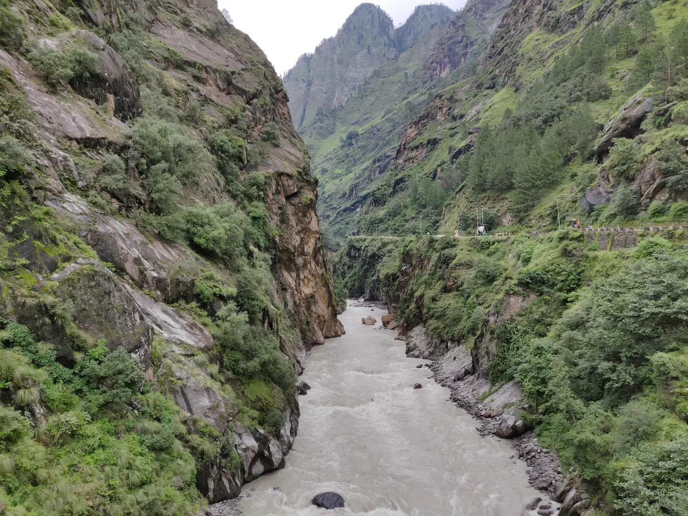 Photo of Valley of Flowers National Park By PRADEEP PATIL