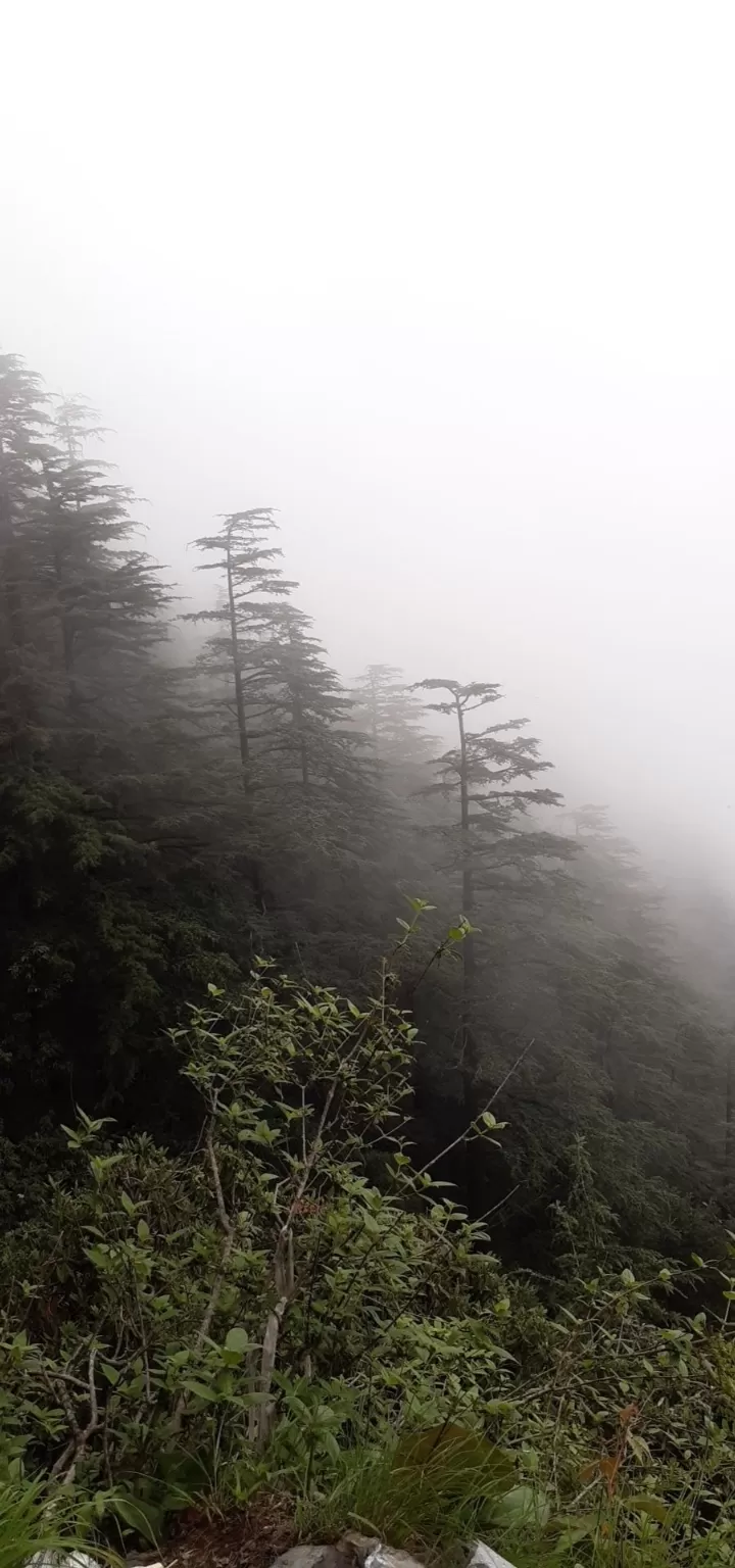 Photo of Shimla By Shubhee