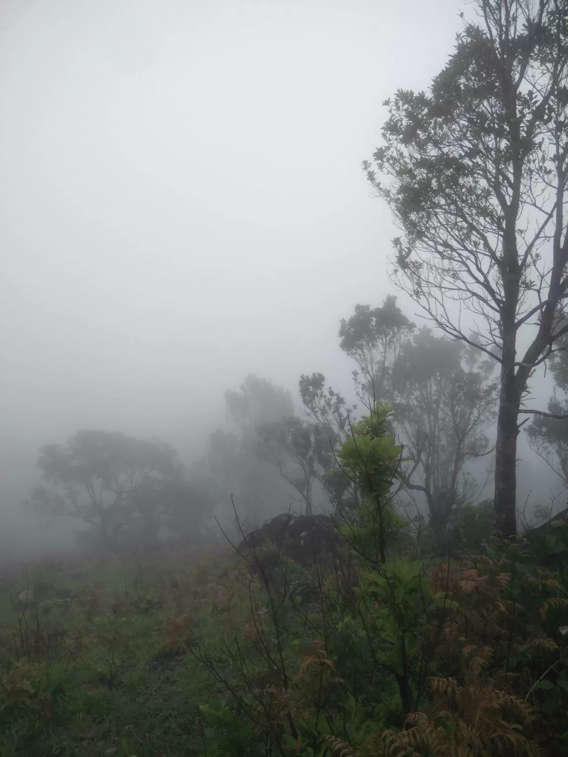 Photo of Pushpagiri By Aman Gupta