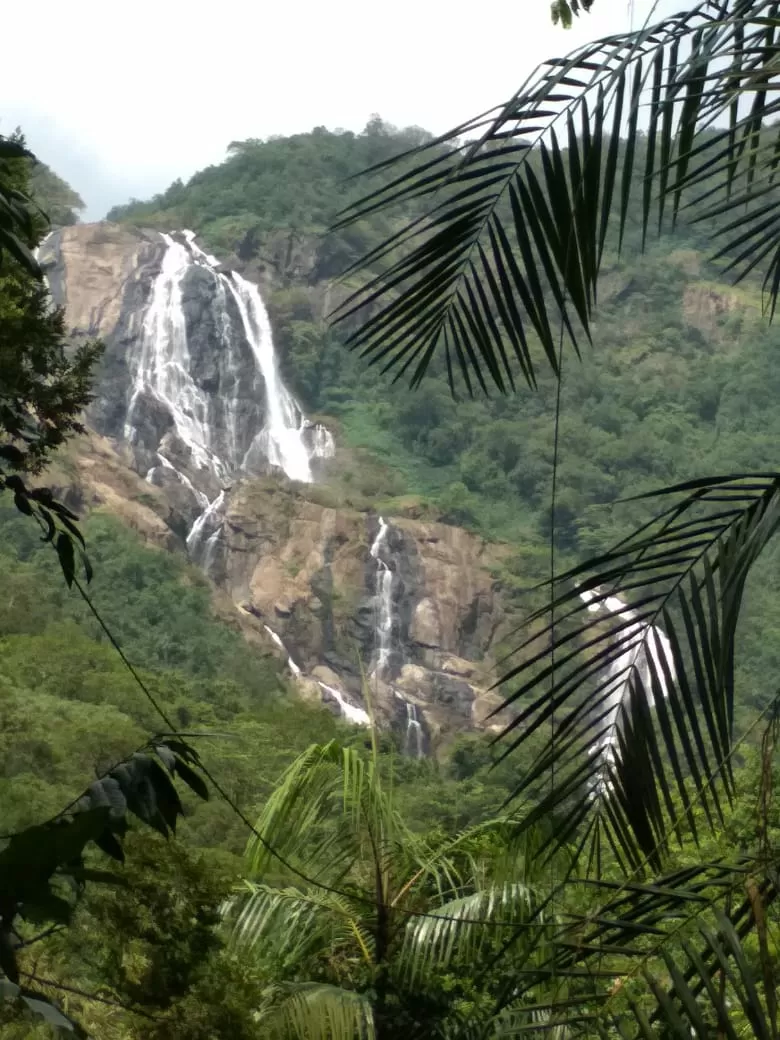 Photo of Dudhsagar Falls By Pallavi Dubey