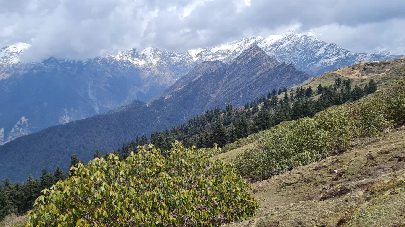 Photo of Chopta chandrashila Trek By The Rooted Nomads (Ria Chaudhury)