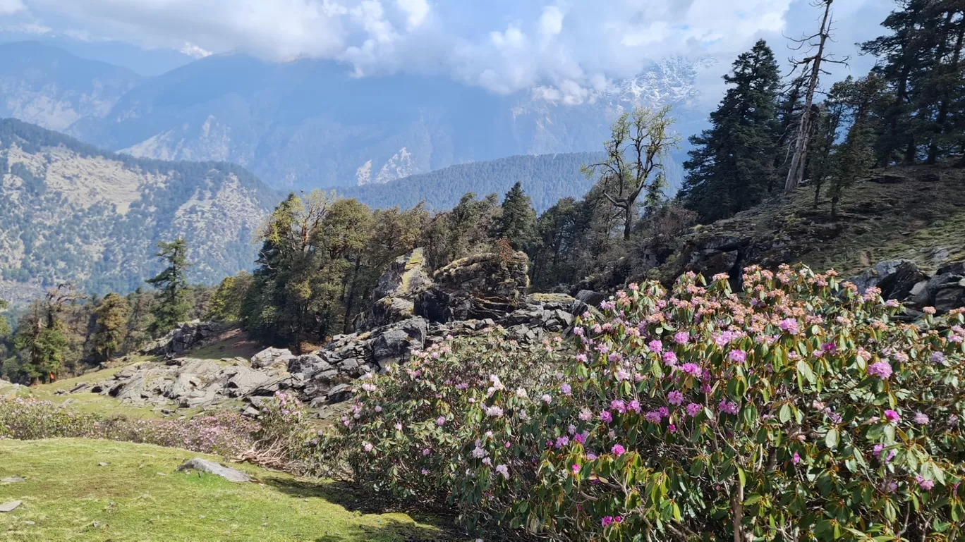 Photo of Chopta chandrashila Trek By The Rooted Nomads (Ria Chaudhury)
