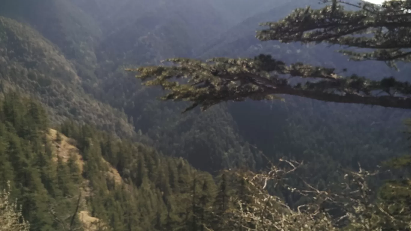 Photo of Shimla By The Rooted Nomads (Ria Chaudhury)