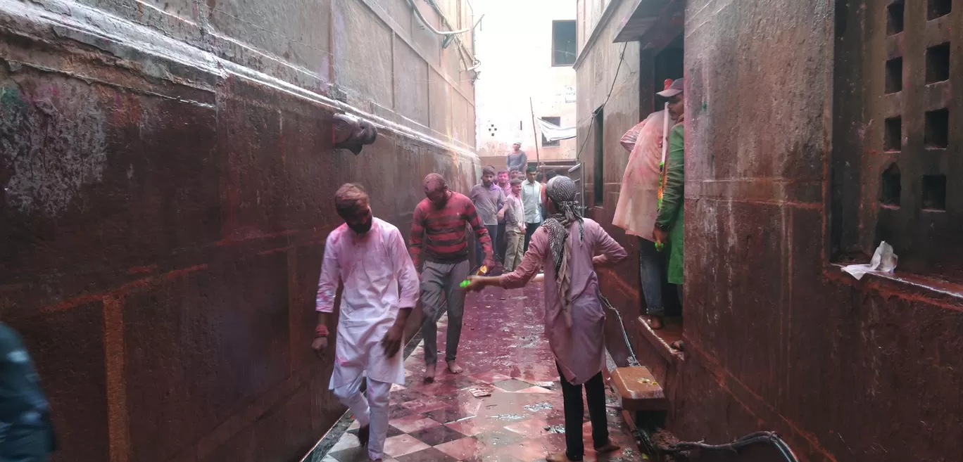 Photo of Govardhan Parikrama Marg By saksham raj gupta