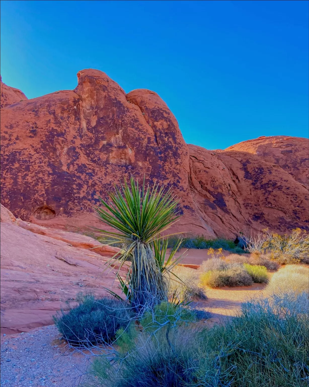Photo of Valley of Fire State Park By Nupur Gupta 