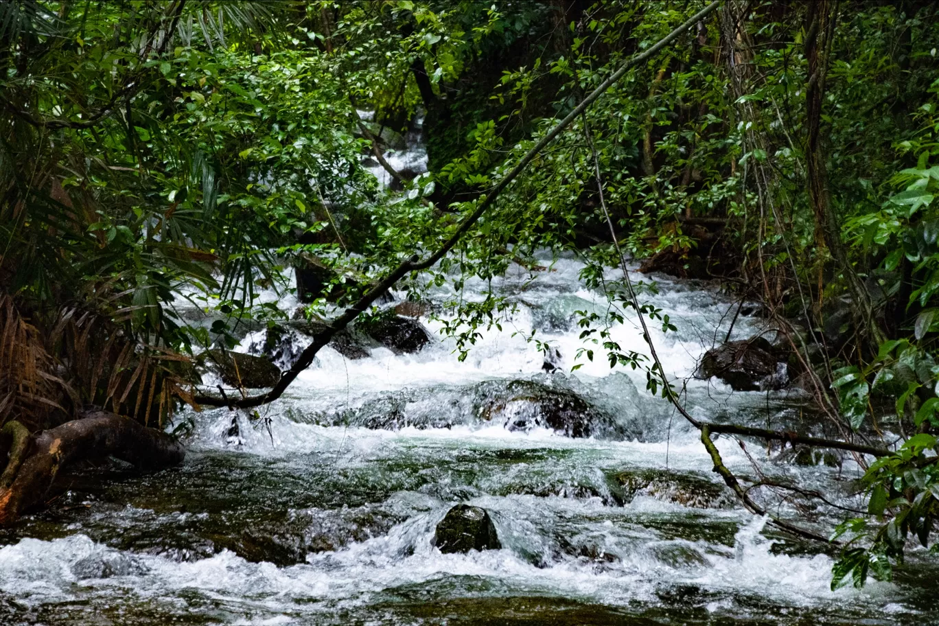 Photo of Dudhsagar Falls By Unplugged_kk