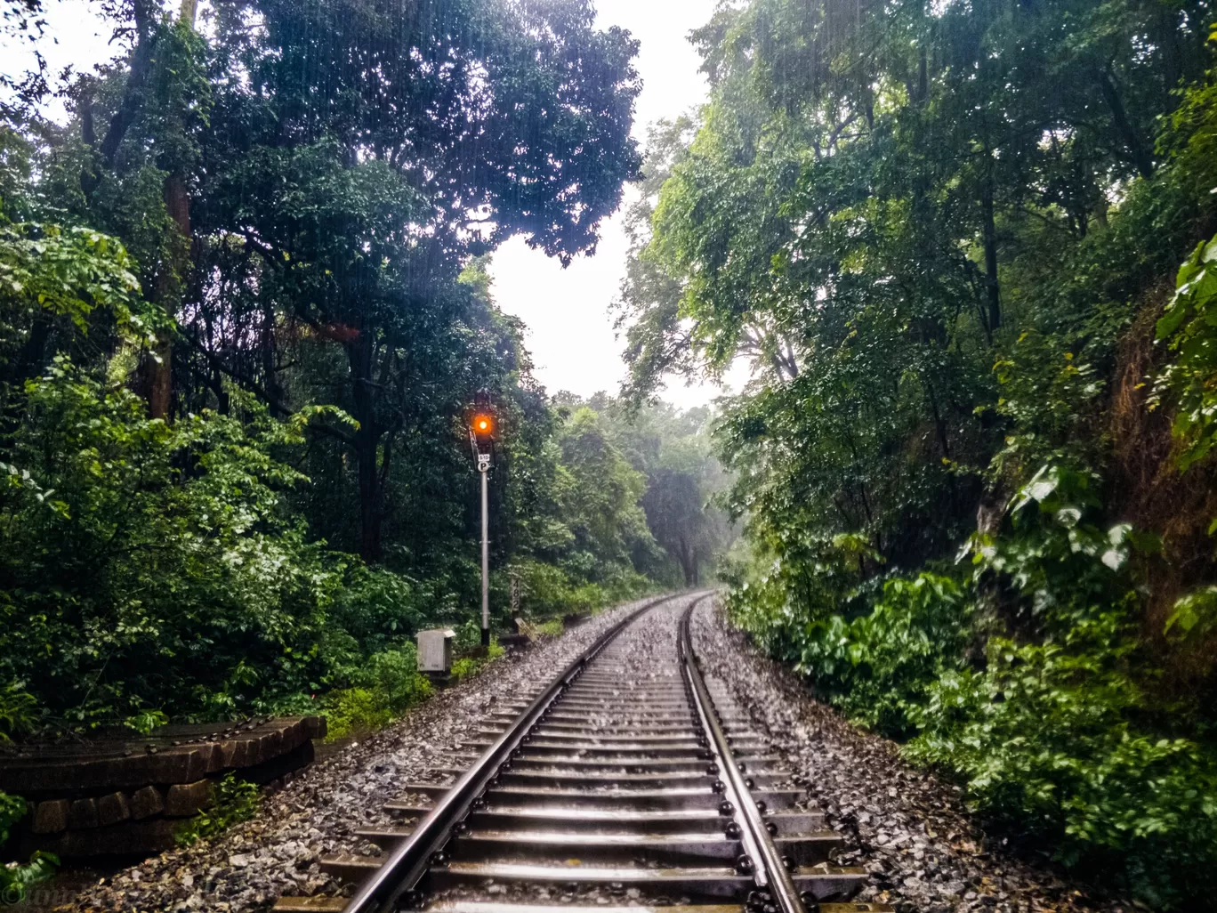 Photo of Dudhsagar Falls By Unplugged_kk