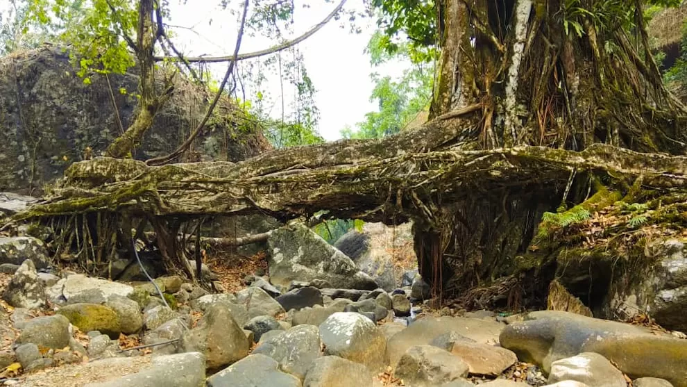 Photo of Meghalaya By Abhishek Viju