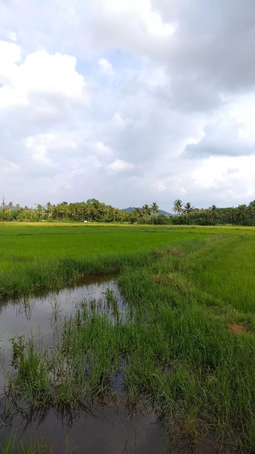 Photo of Chettuva Azhimugam By Abhishek Viju