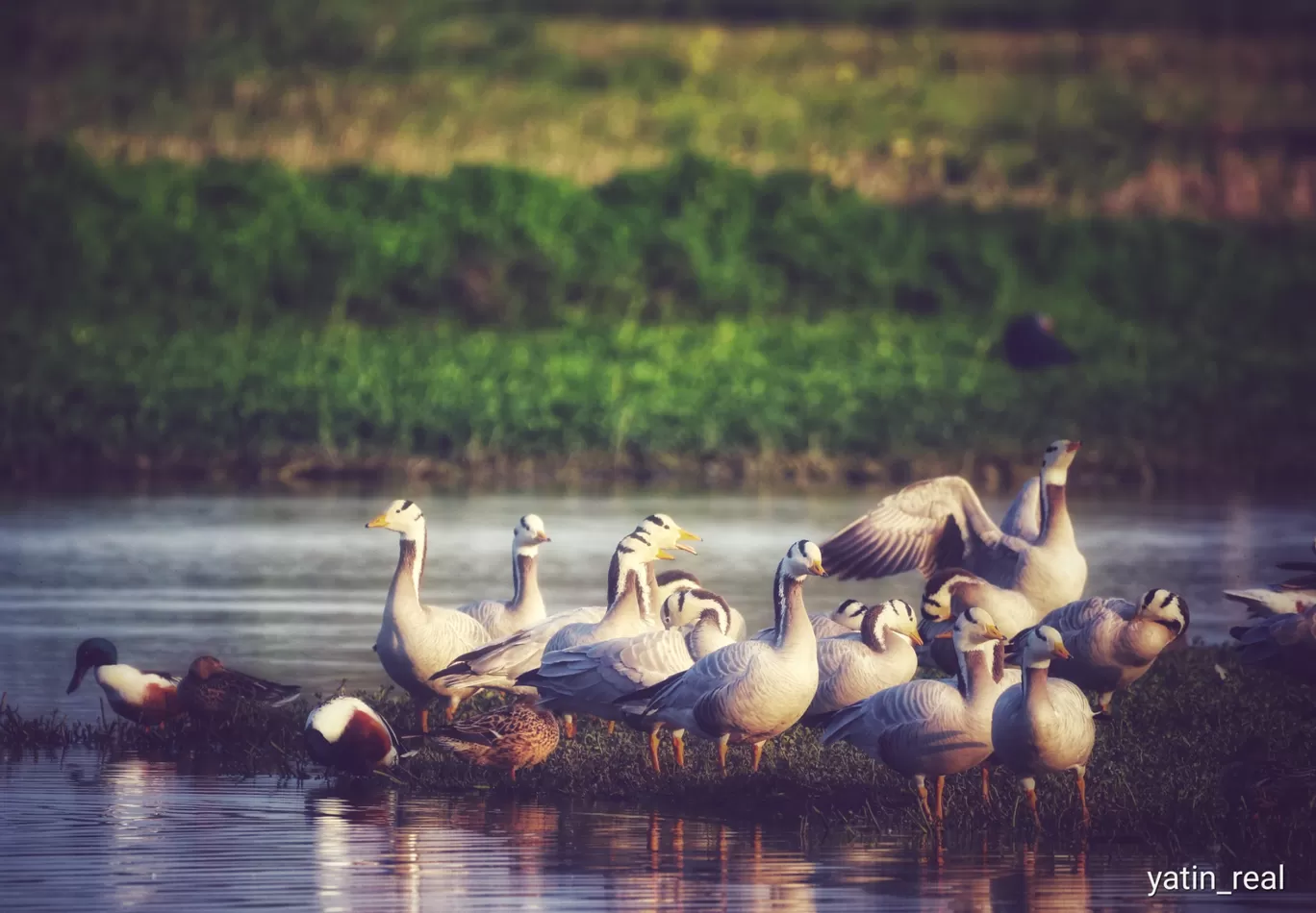 Photo of Jammu By Yatin Gupta