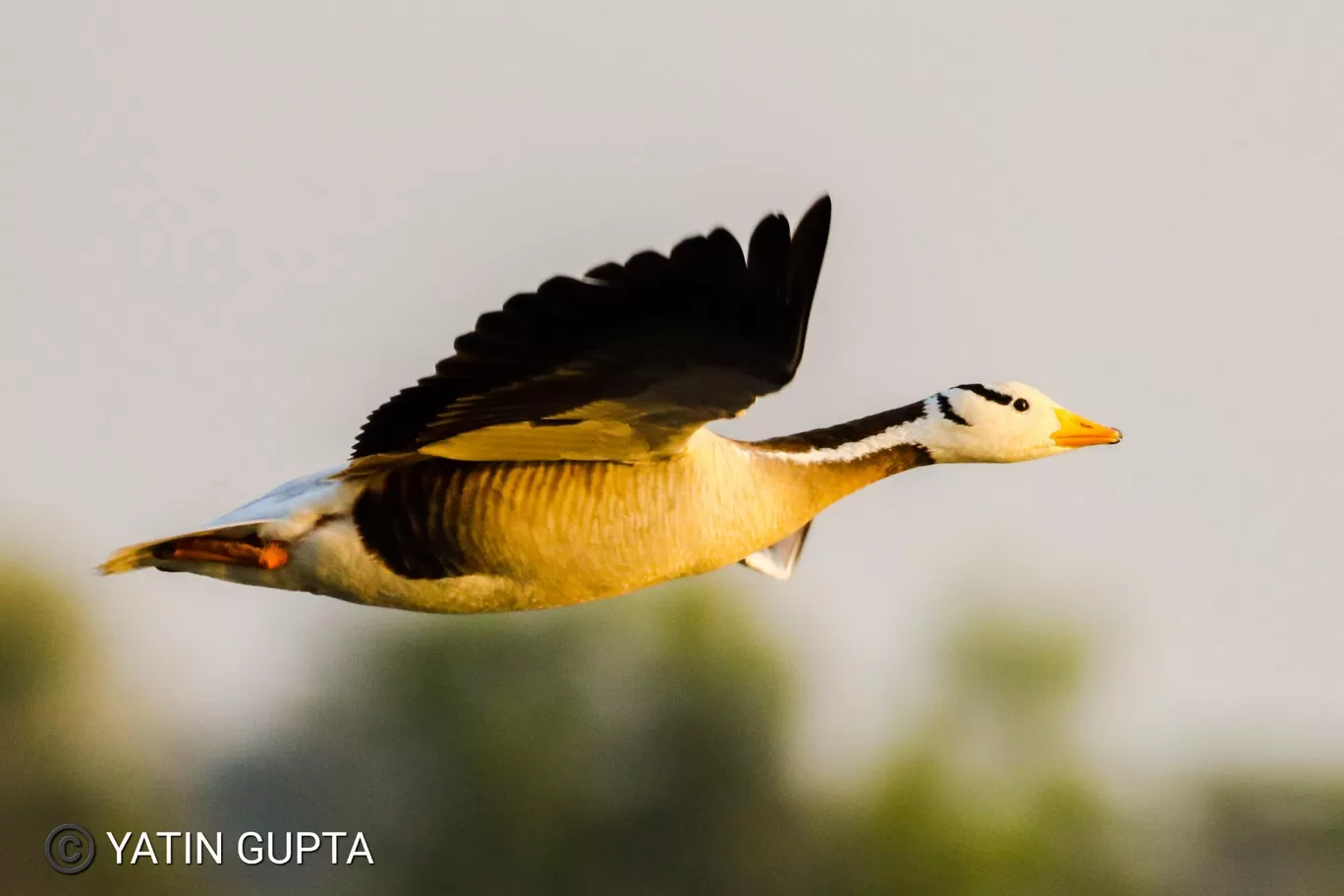 Photo of Jammu By Yatin Gupta