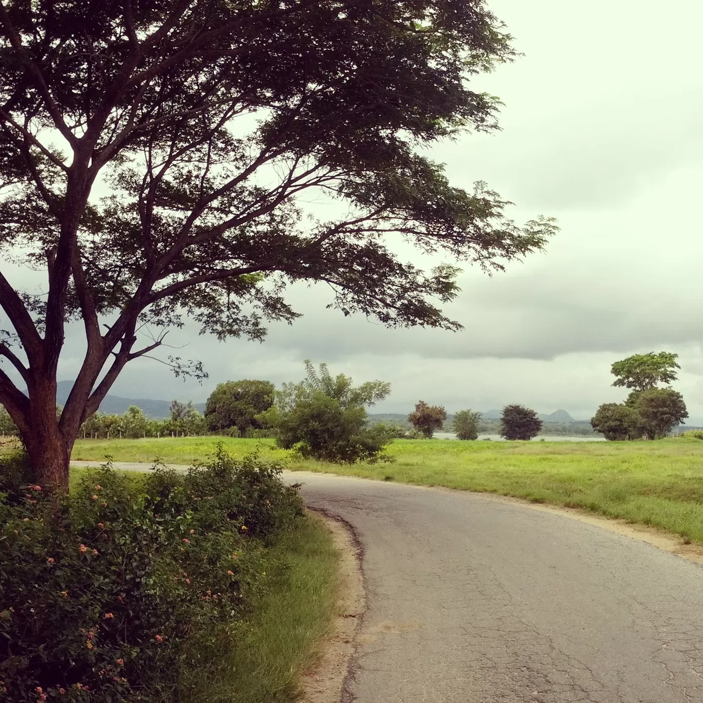 Photo of Shettihalli Church By Akhil Bhat