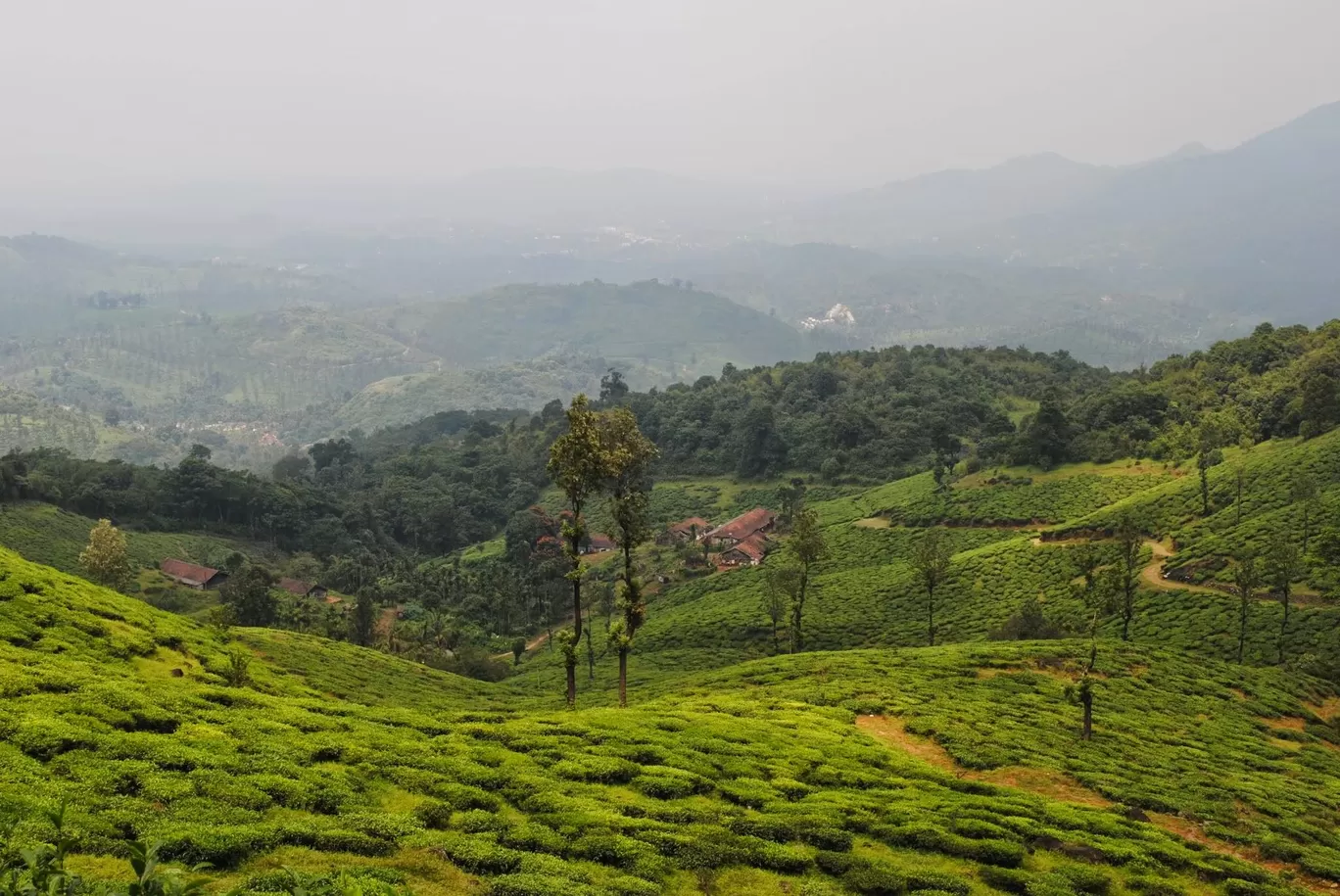 Photo of Chembra Peak By Akhil Bhat