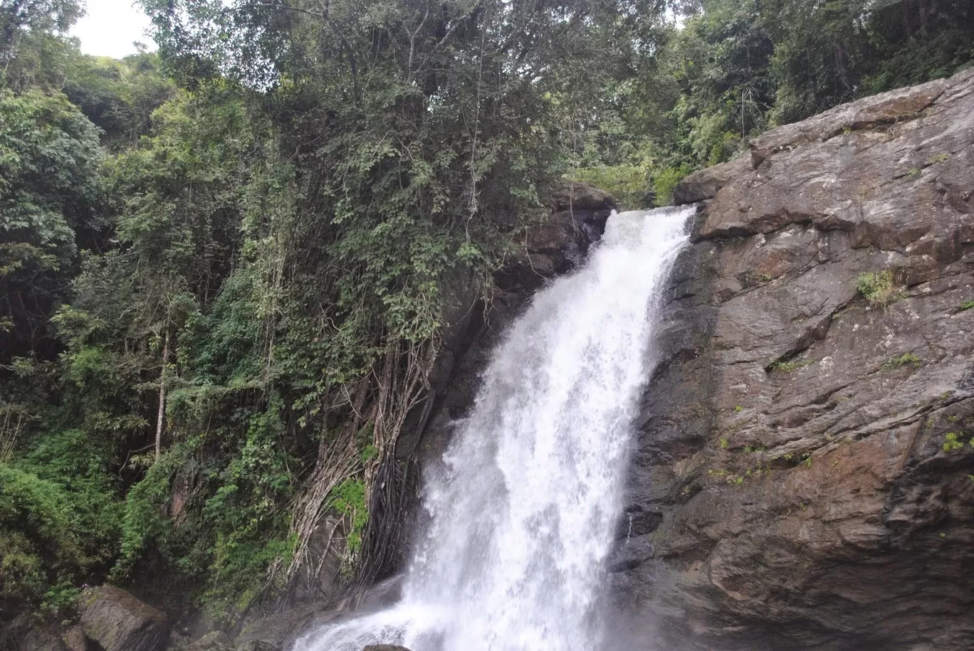 Photo of Soochipara Falls By Akhil Bhat