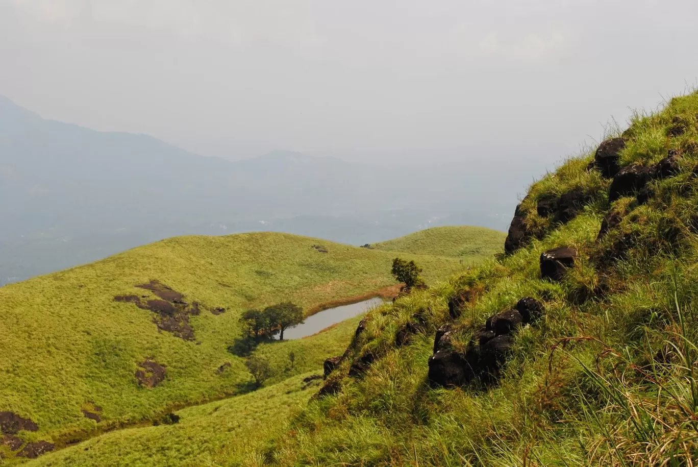 Photo of Chembra Peak By Akhil Bhat