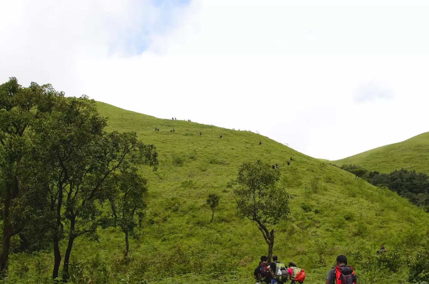 Photo of Kudremukh Karnataka By Akhil Bhat