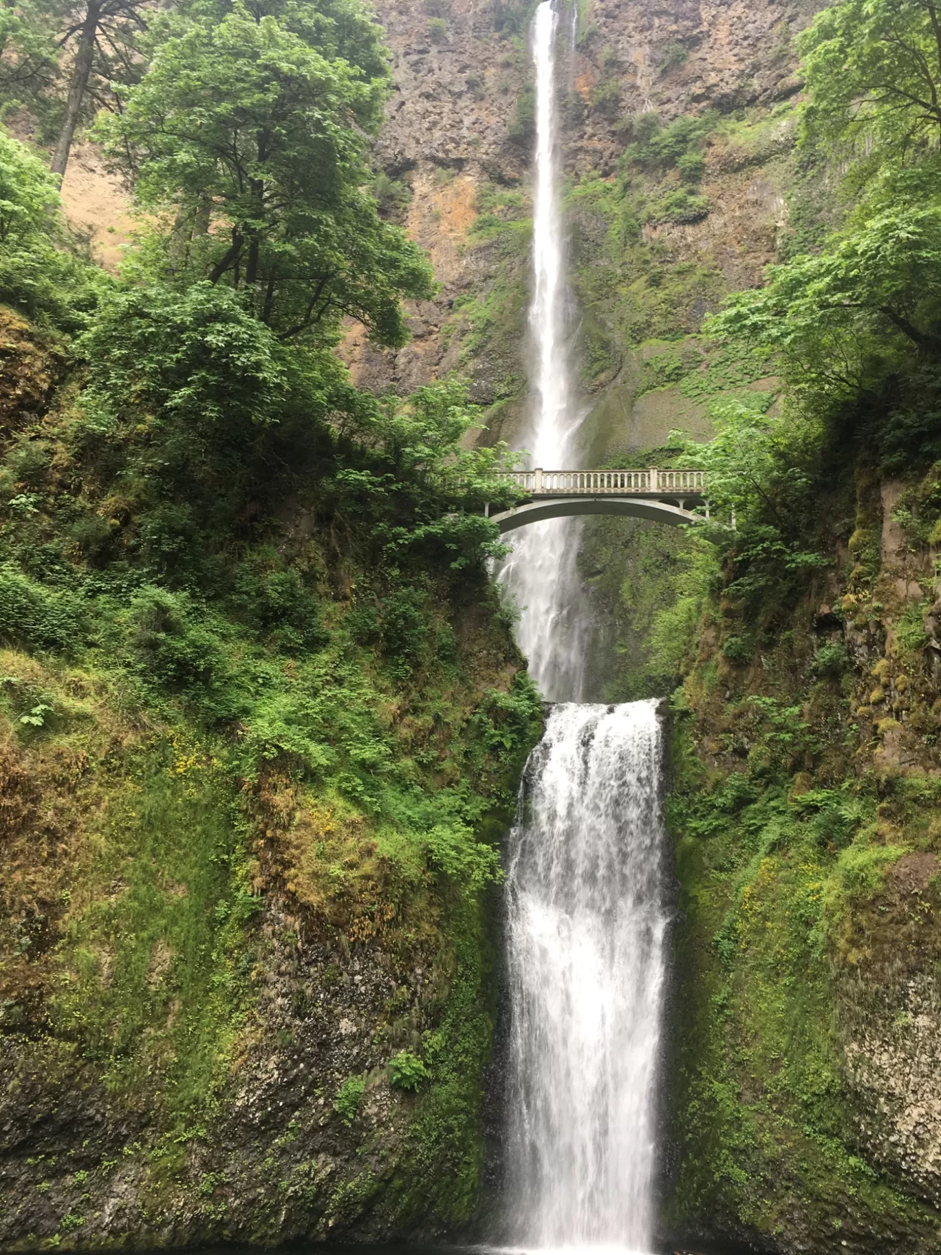 Photo of Redmond By Akhil Bhat