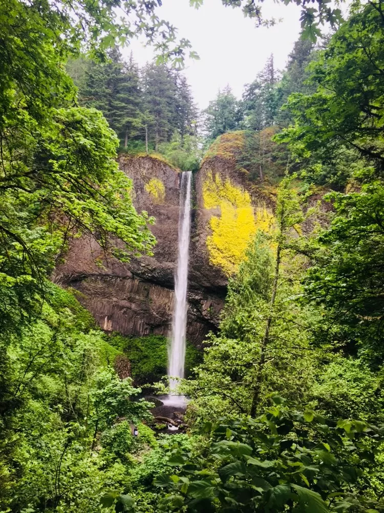 Photo of Redmond By Akhil Bhat