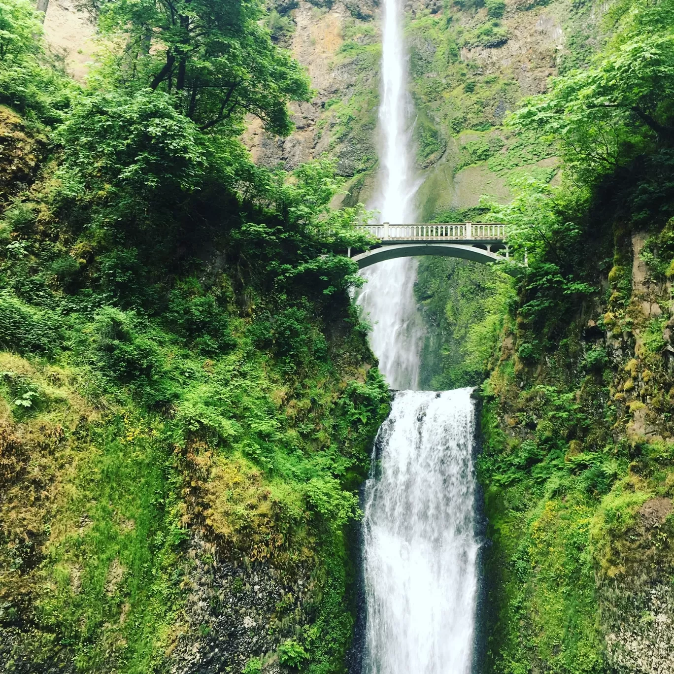 Photo of Redmond By Akhil Bhat