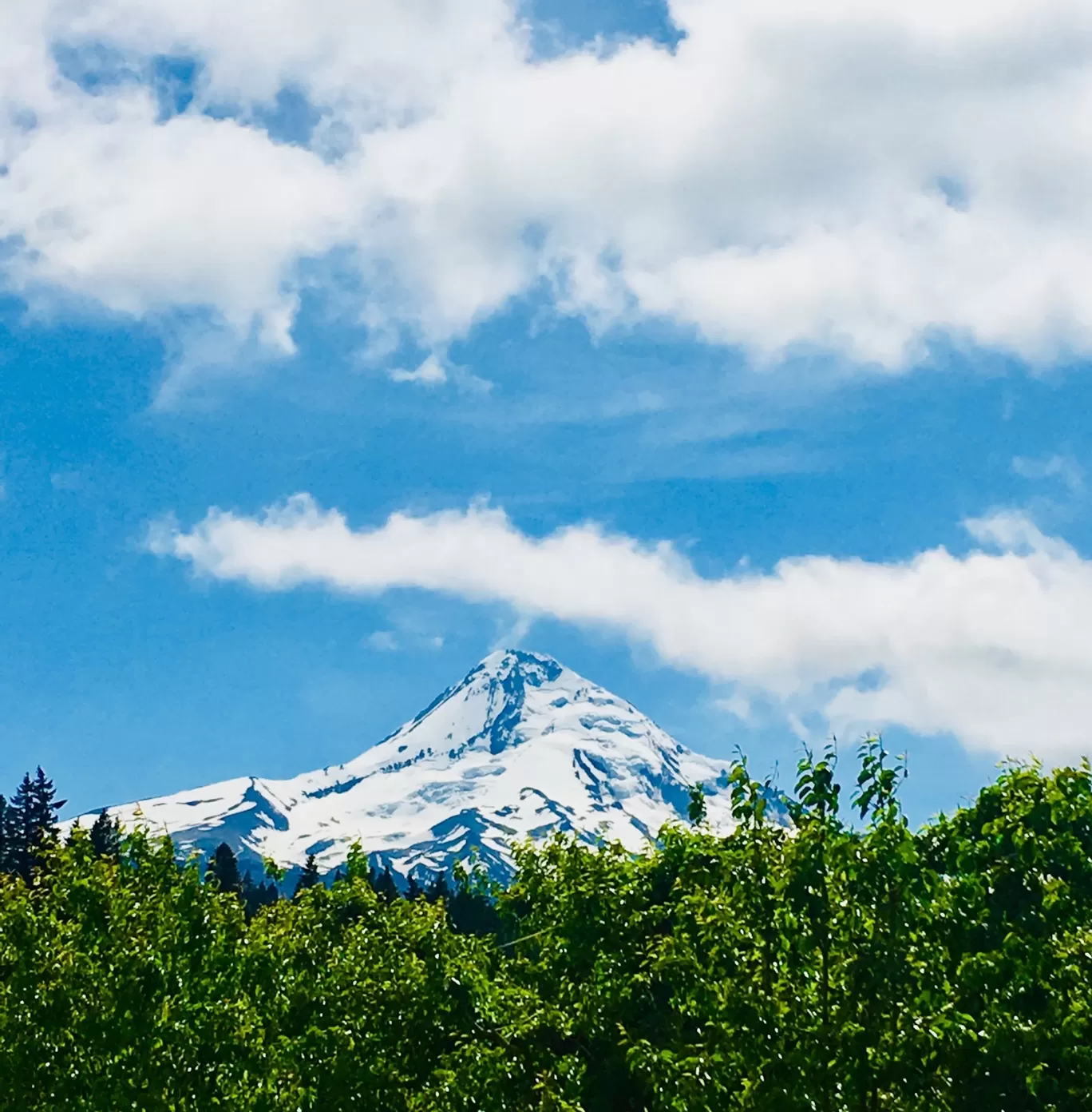 Photo of Redmond By Akhil Bhat