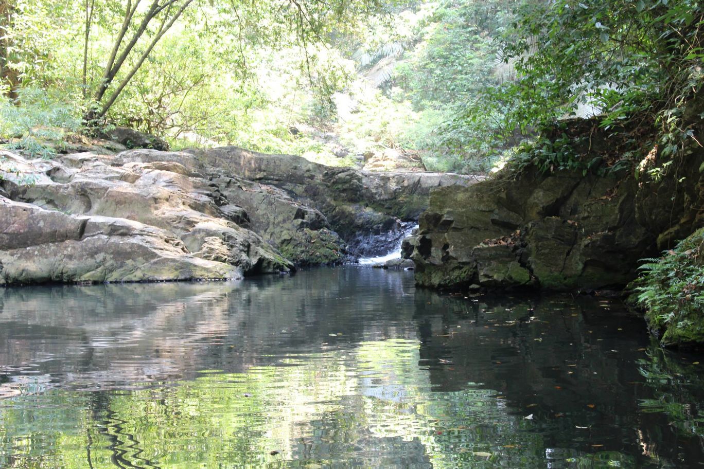 Photo of Sharavati Valley, Belligundi Trek By Akhil Bhat
