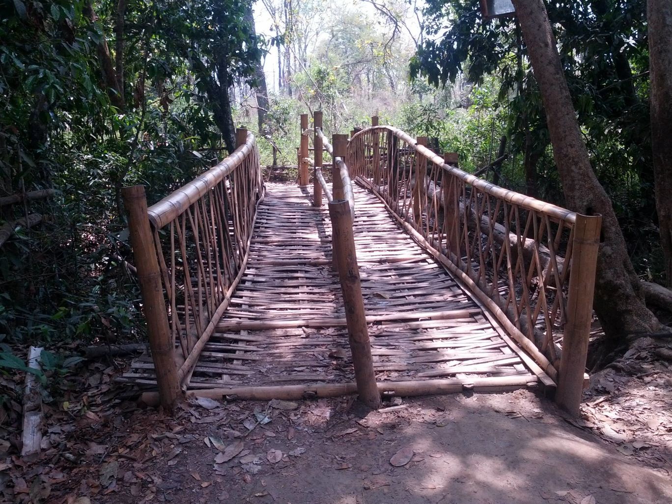 Photo of Weekend in Srirangapatna, Wayanad and Nagarhole National Park By Akhil Bhat