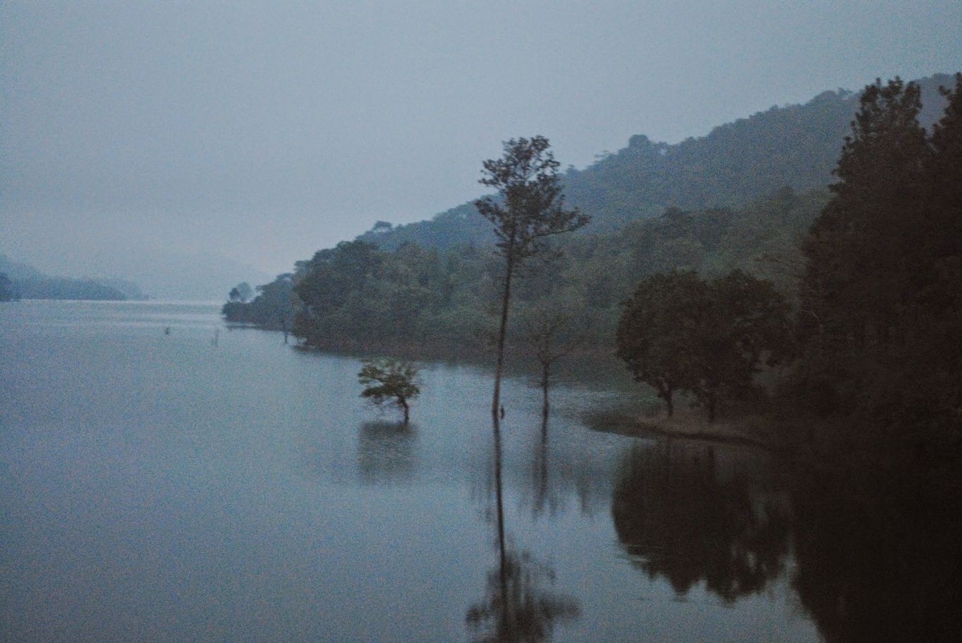 Photo of Wayanad bliss By Akhil Bhat