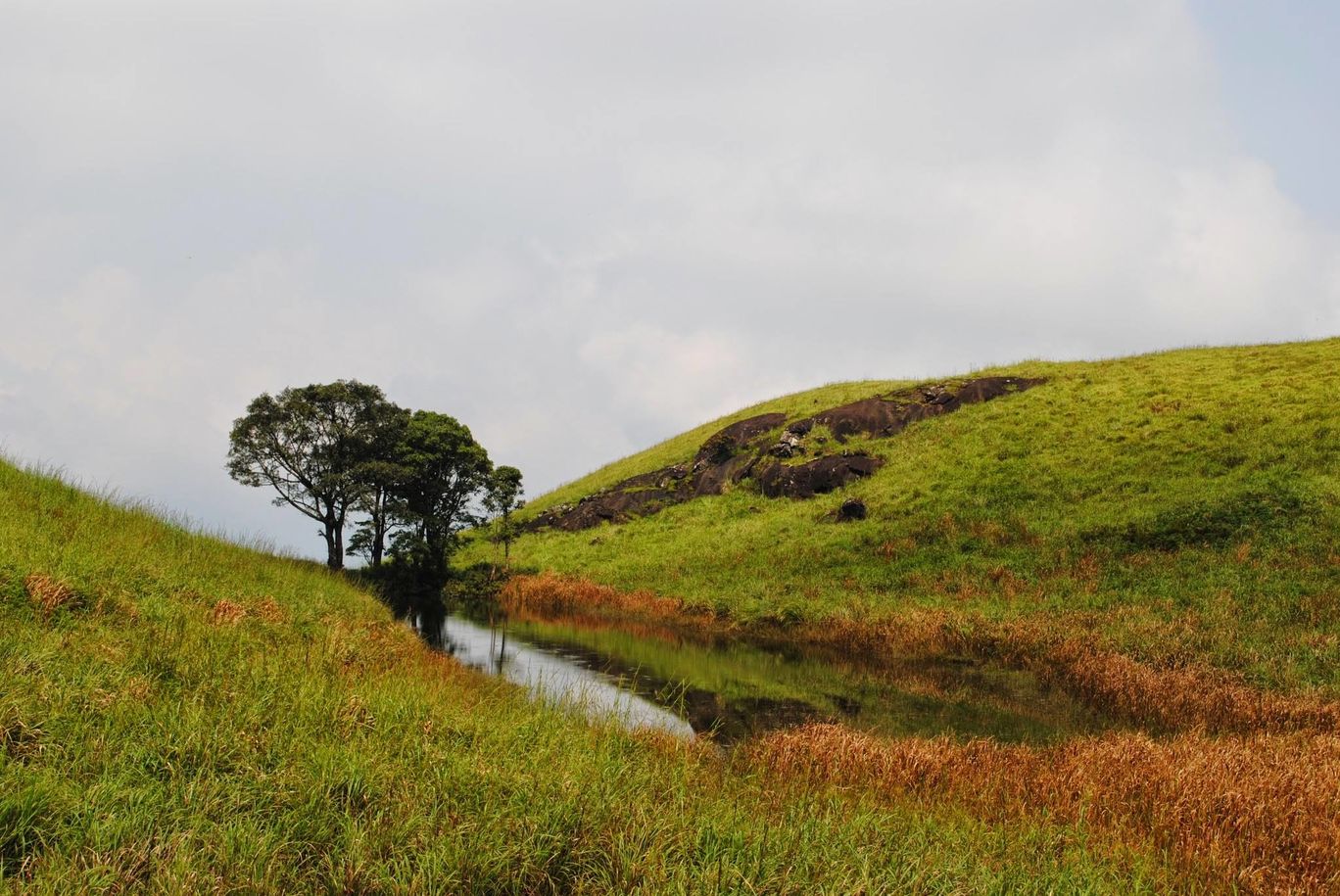 Photo of Wayanad bliss By Akhil Bhat