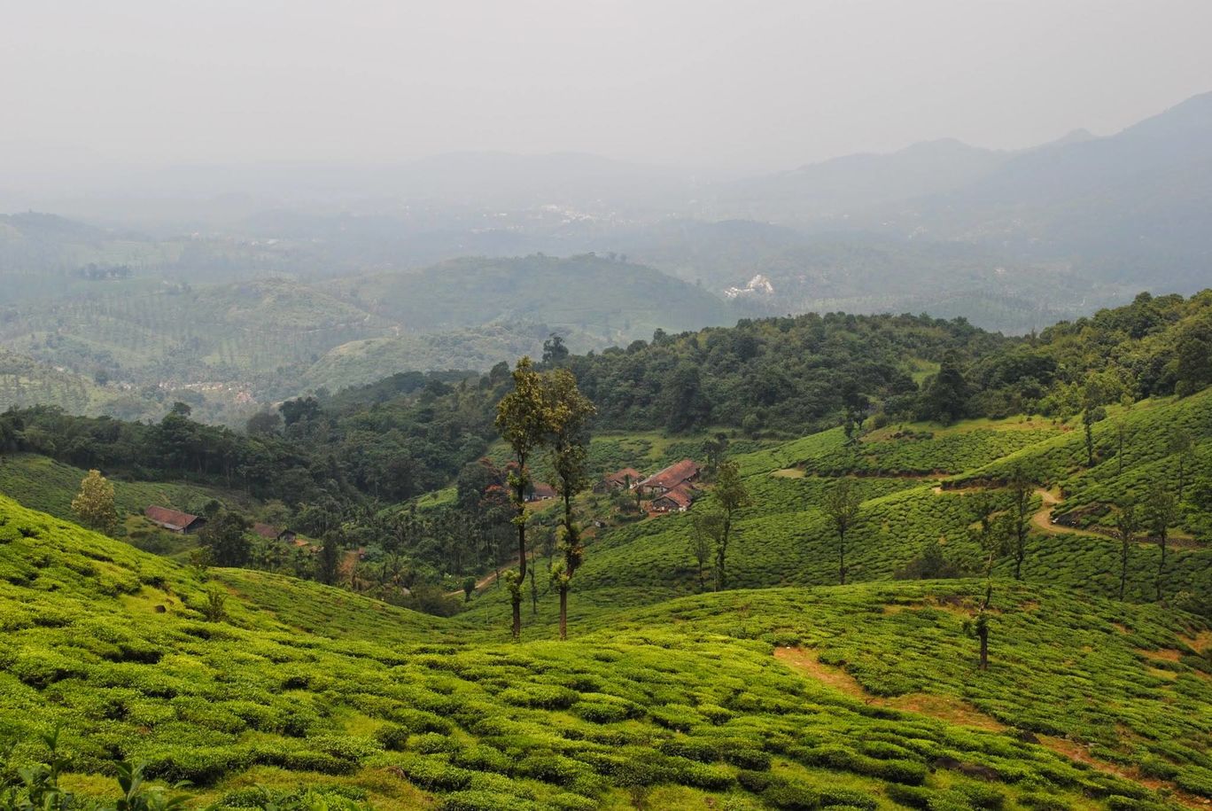 Photo of Wayanad bliss By Akhil Bhat