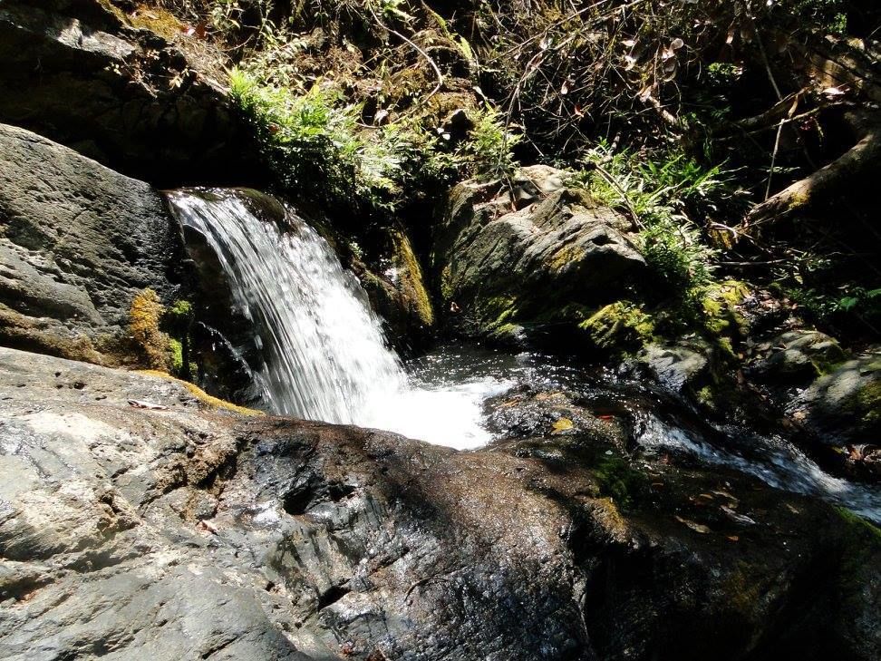Photo of Sharavati Valley, Belligundi Trek By Akhil Bhat