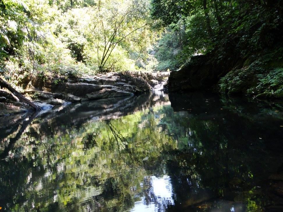Photo of Sharavati Valley, Belligundi Trek By Akhil Bhat