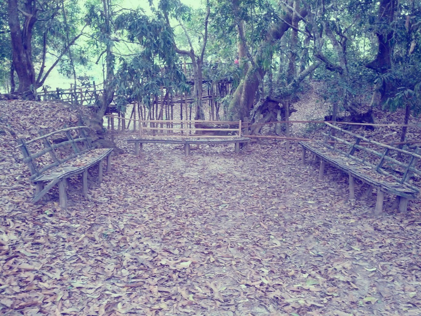 Photo of Weekend in Srirangapatna, Wayanad and Nagarhole National Park By Akhil Bhat