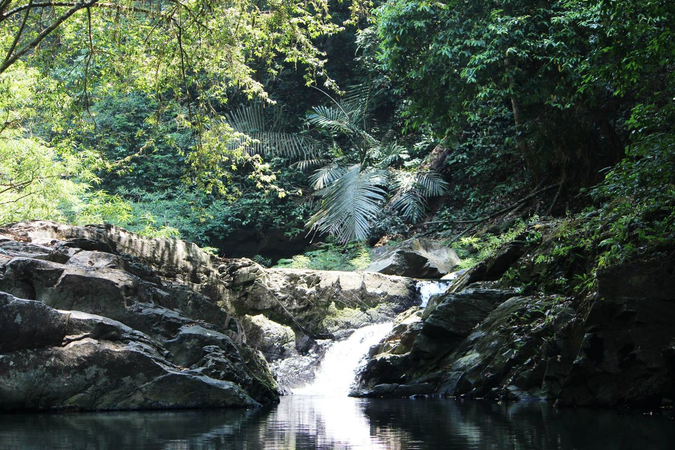 Photo of Sharavati Valley, Belligundi Trek By Akhil Bhat