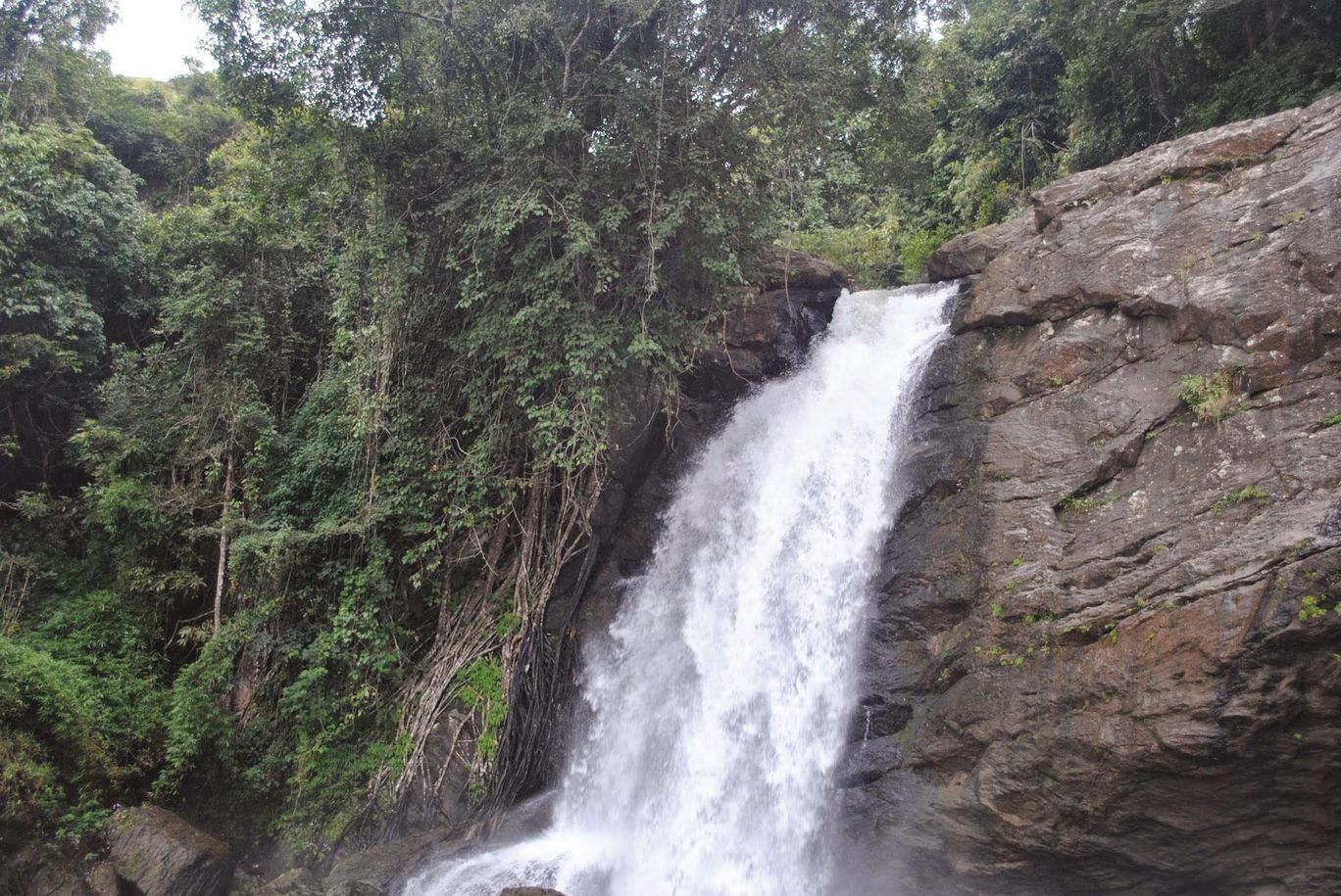 Photo of Wayanad bliss By Akhil Bhat